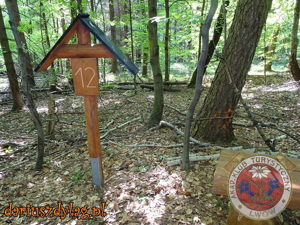 12. Przystanek nr 12 – Dobańce – walki o grzbiet górski w 1944 r. Fot. D. Dyląg