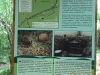 6. Przystanek nr 6 został zlokalizowany na przełęczy Beskid nad Olchowcem (nazwa słowacka: Šarbovske sedlo). Na tablicy interpretacyjnej opisano państwowe granice przebiegające tu na przestrzeni dziejów, jak również unikatowe, strategiczne znaczenie przełęczy w czasie obu wojen światowych. M.in. częściowo zachowany punkt oporu i fortyfikacje z 1914 r. oraz jeden z epizodów trzeciego etapu operacji karpacko-dukielskiej z 1944 r. – natarcie związków pancernych w kierunku drogi Nowy Żmigród – Zvolen. Fot. D. Dyląg