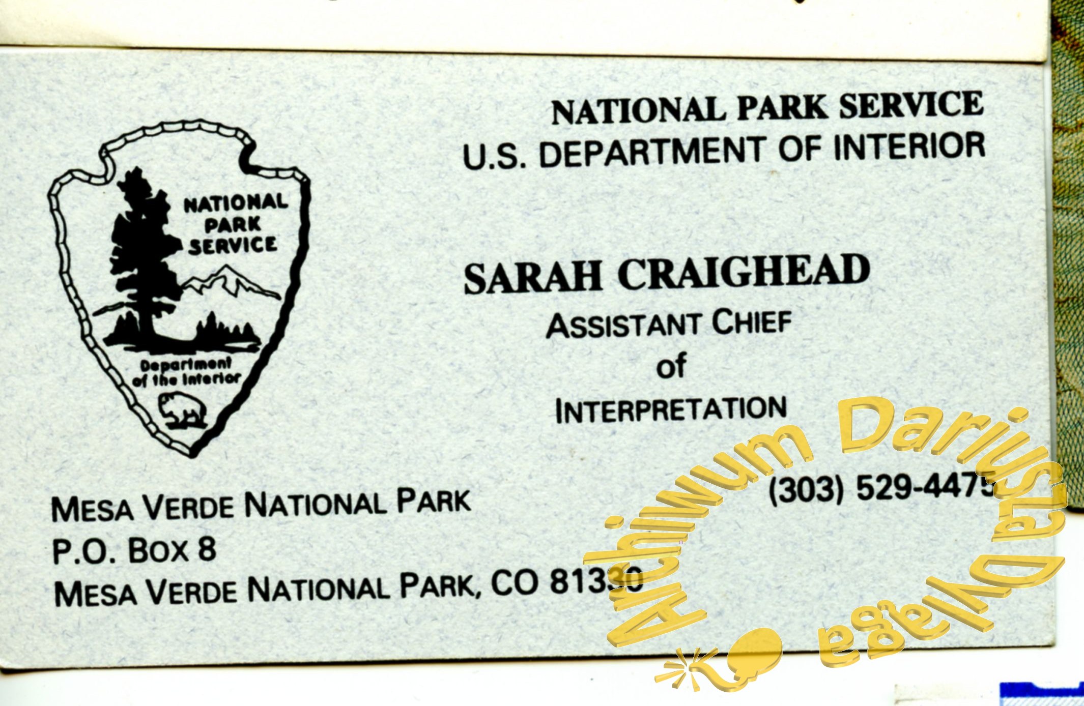 1995-sarah