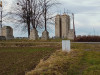007