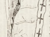 Rys. S. Leszczycki