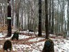 013